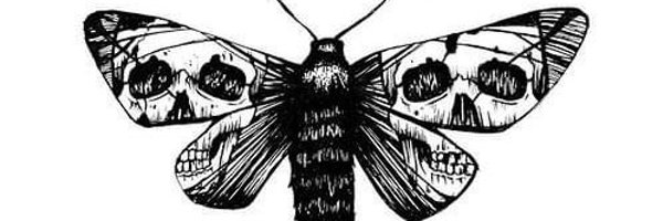 oscillate23 Profile Banner