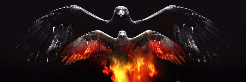 farrayfn's profile banner image