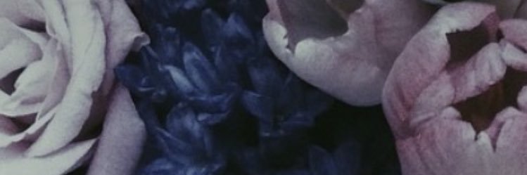ihajeee's profile banner image