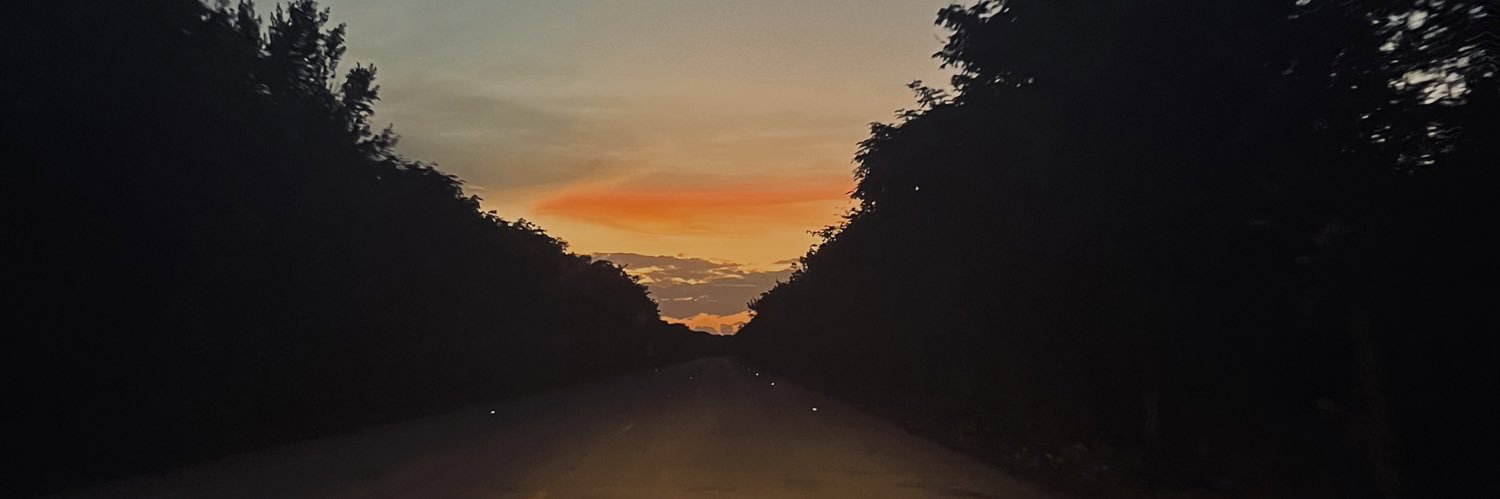 analegs_'s profile banner image