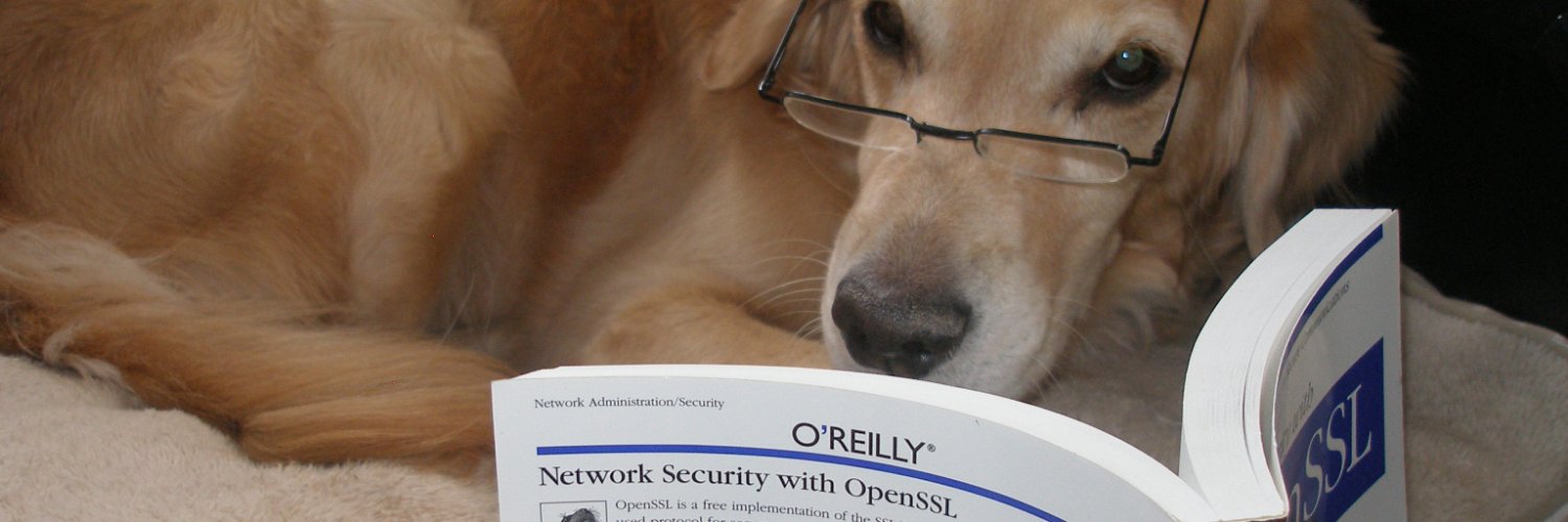 GoldenCSO's profile banner image
