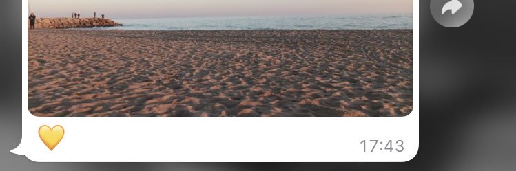 xnechrb's profile banner image