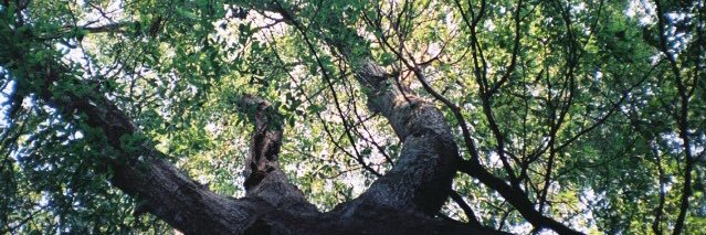 yall_ternative's profile banner image
