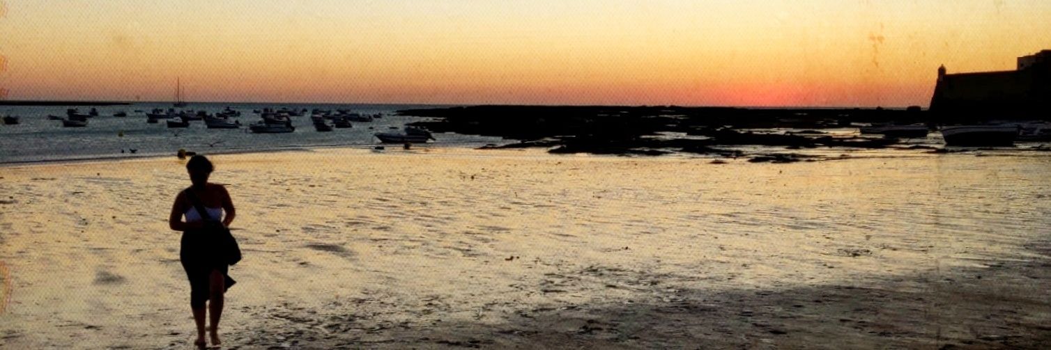 palomacr28's profile banner image