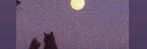 roxanasv69's profile banner image