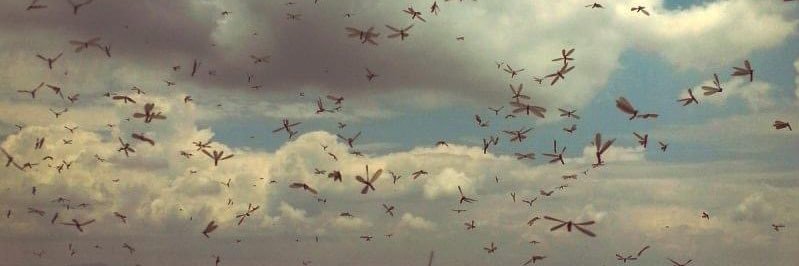 Jimena ⚡️ banner