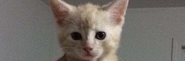 JaneSulll Profile Banner