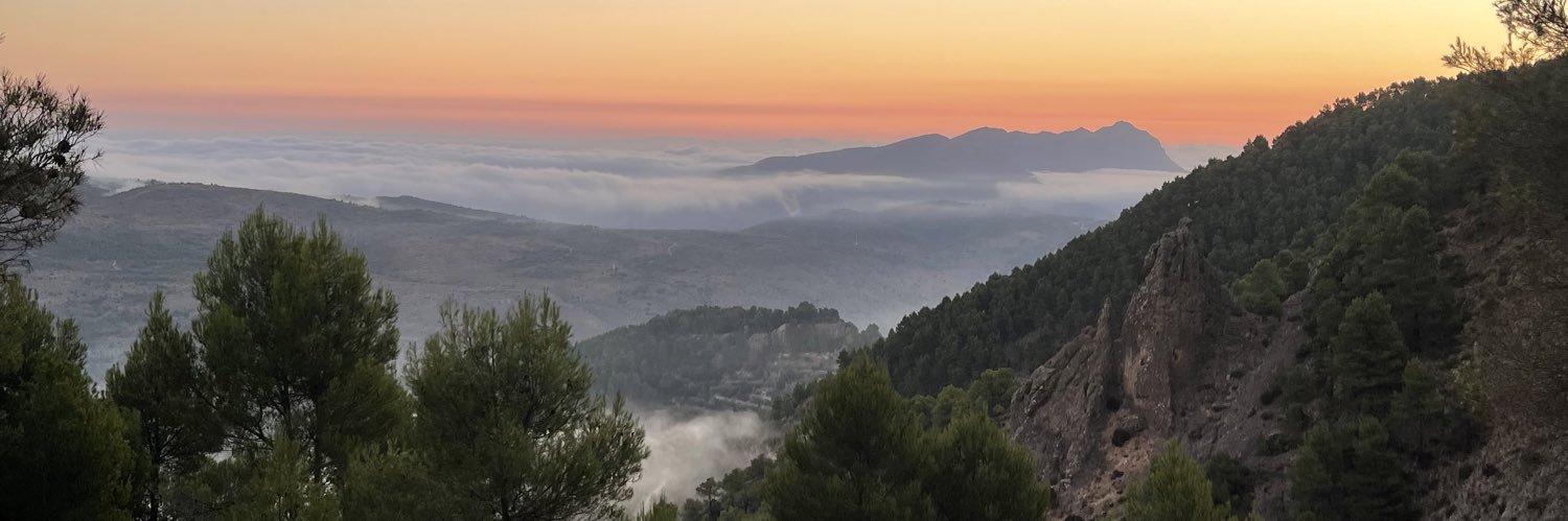 Ferran Sarrio banner