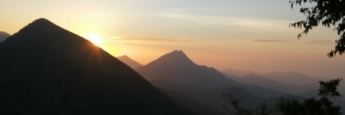 elrodo102030's profile banner image