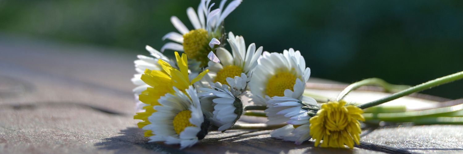 Gunes93B's profile banner image