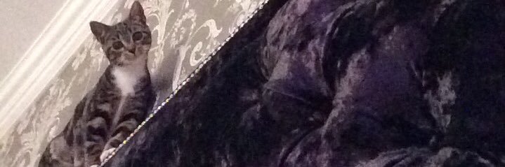 eelliewood34's profile banner image