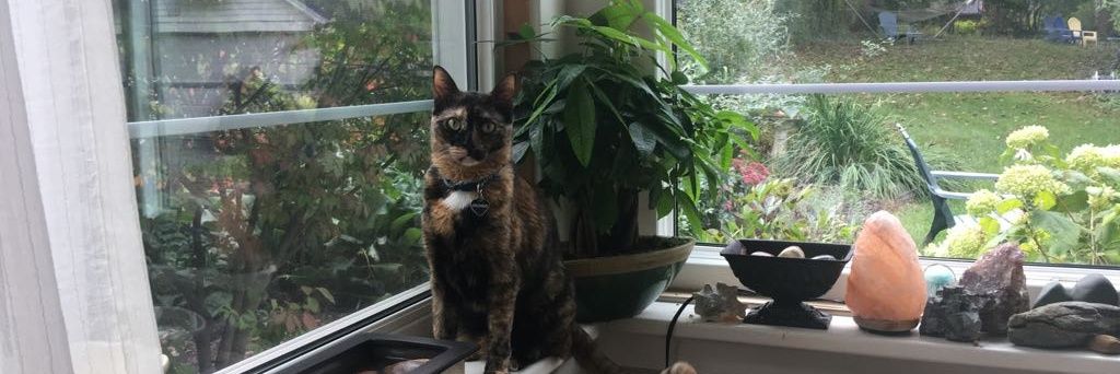 sgtroi's profile banner image