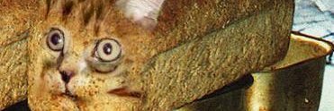 cptteemottv's profile banner image