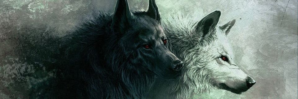Connor_ST_'s profile banner image