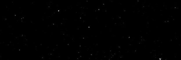 Fernandes_Bree's profile banner image