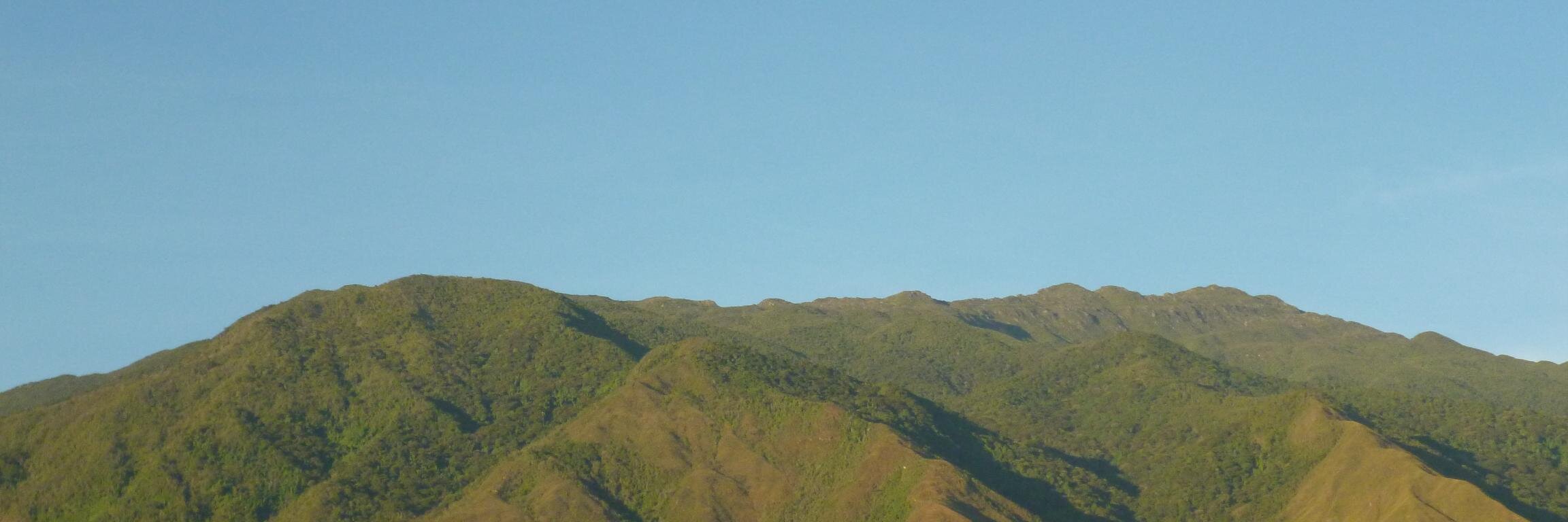 Rialtro's profile banner image