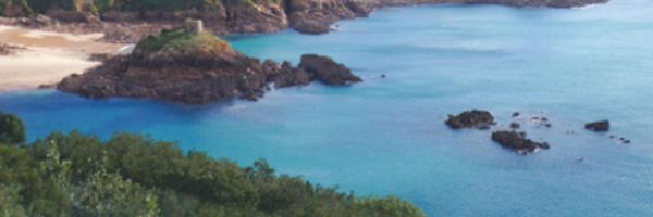 mccarthy_roy Profile Banner