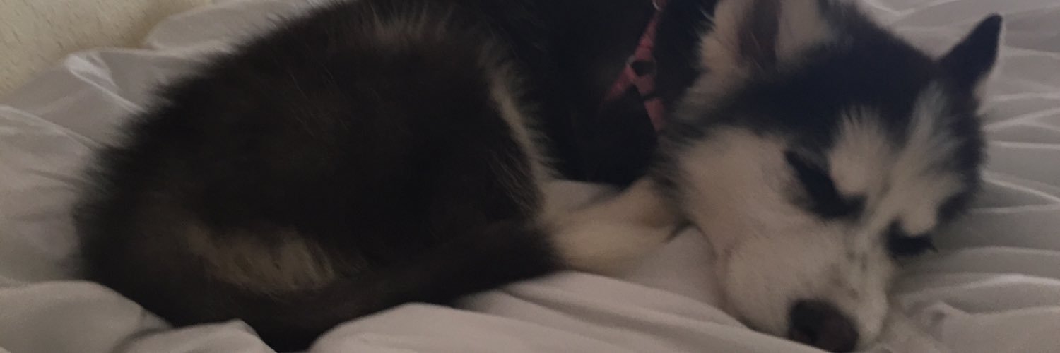 kharris95's profile banner image