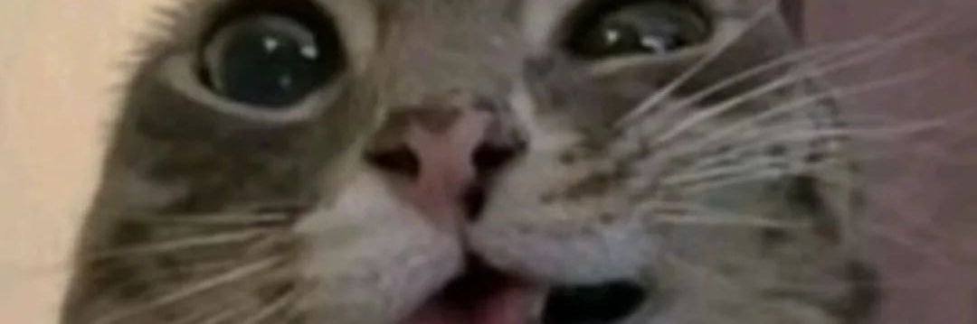 ipoopthebed banner