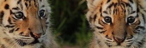 MunkieKas's profile banner image