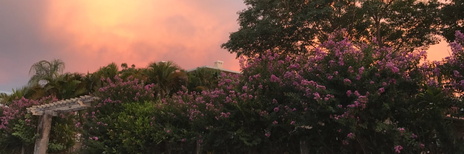 vane_delpuerto's profile banner image