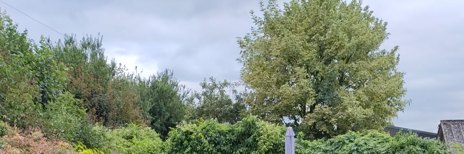 OlyaSPMU's profile banner image