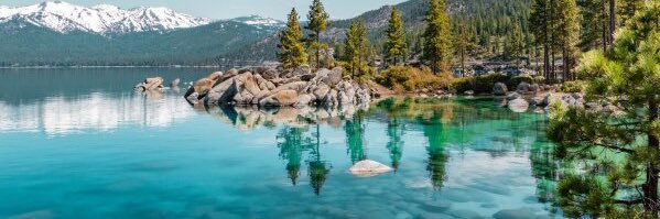 𝔼𝕝𝕝𝕚𝕠𝕥 𝕄𝕒𝕝𝕚𝕟 banner