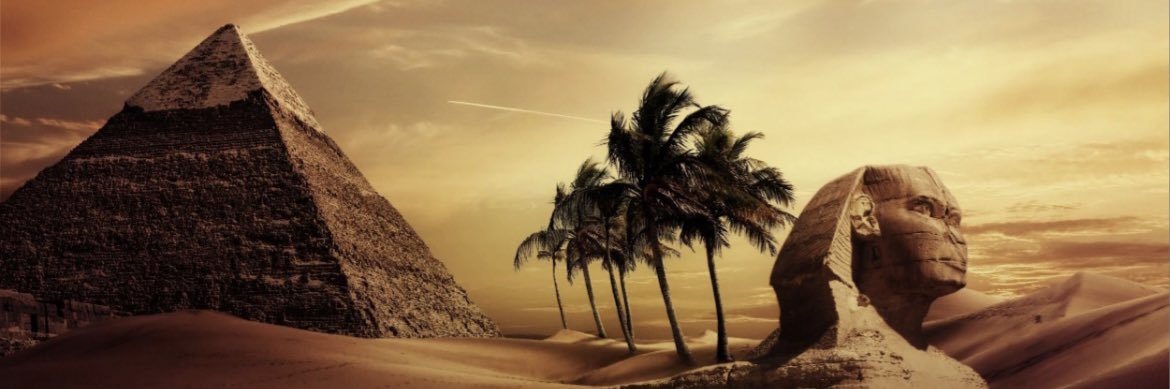 ellehaggertyx's profile banner image
