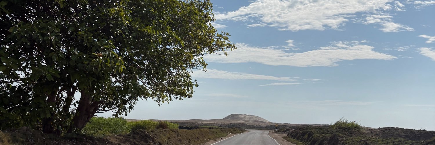 maxjaraperu's profile banner image