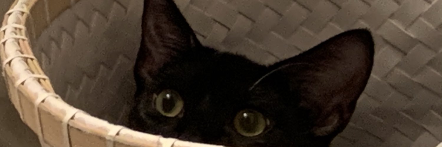 Vicnasttt's profile banner image