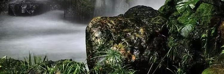 FGrigorio's profile banner image