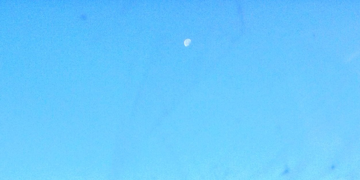 Rebeca Egido 🌿🤭🙈®️ banner