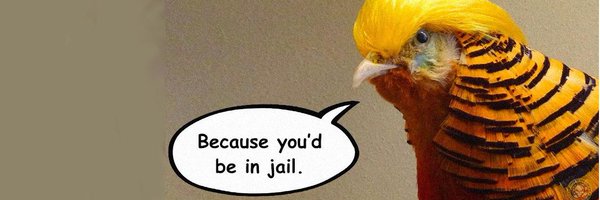 Victronix Profile Banner