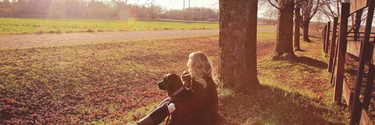 fallonstuckey's profile banner image