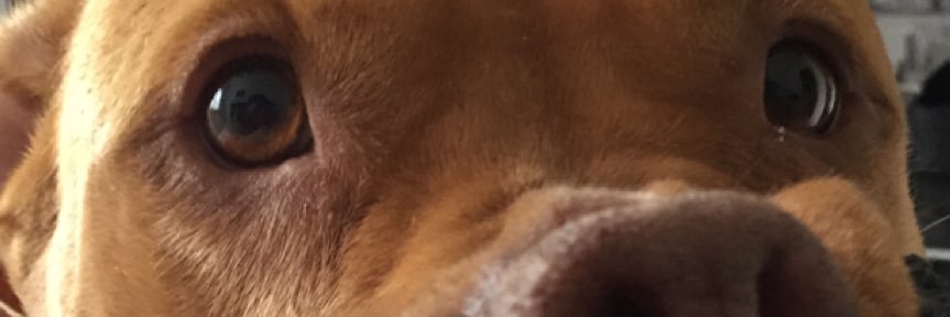 c4zzzi's profile banner image