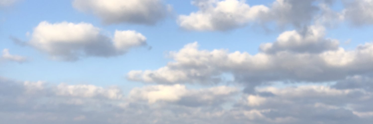 desr0sez's profile banner image