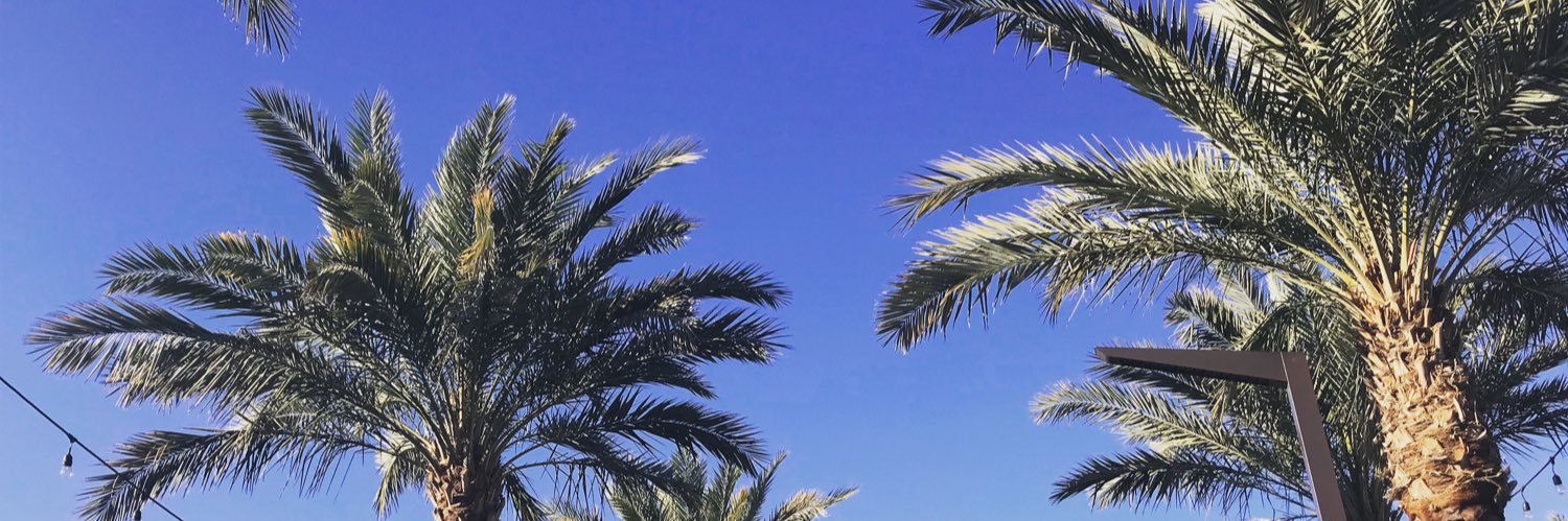 RachDeAnne's profile banner image