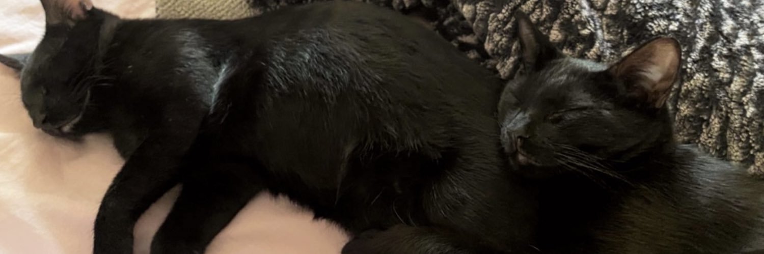 moonndelicious's profile banner image