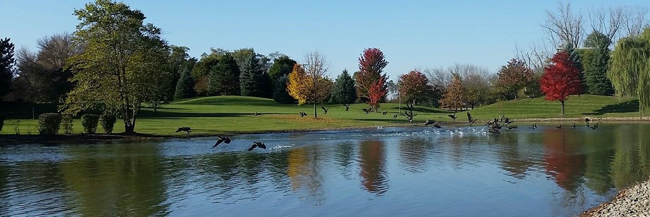 goosecommanders's profile banner image
