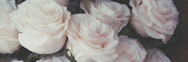 BeADizzyDreamer's profile banner image
