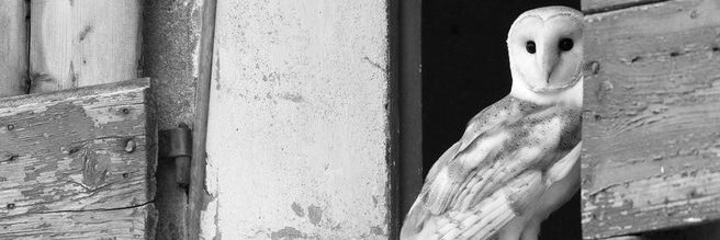 maler_official's profile banner image