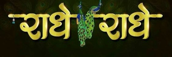 VivekSteyn's profile banner image