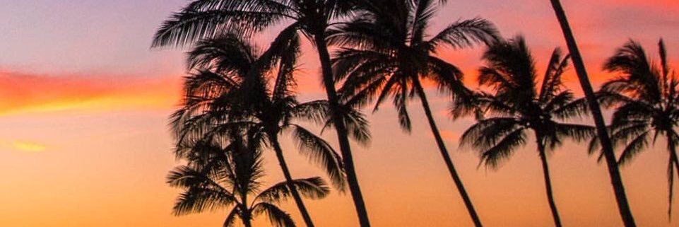 Michelle1475's profile banner image