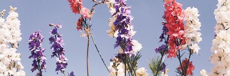 mprasayasith_'s profile banner image