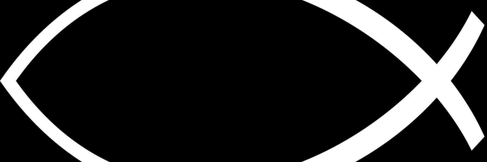 liondani's profile banner image