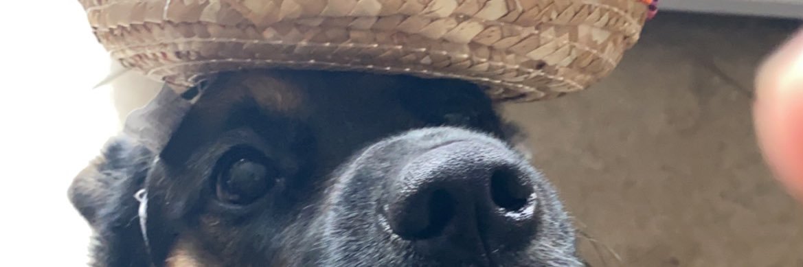 Ozzie banner