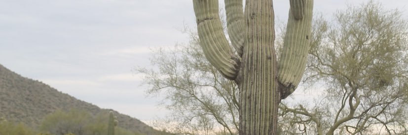 ilzx911's profile banner image