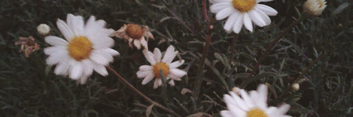 amaspizzy's profile banner image