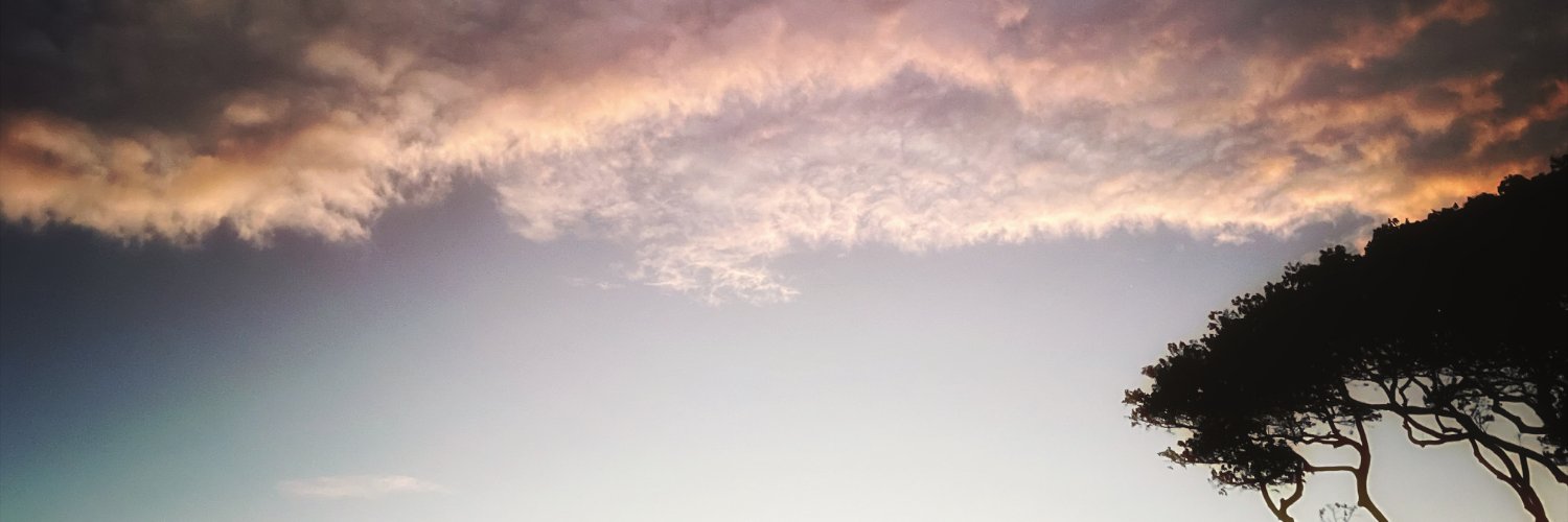 bnibblet's profile banner image