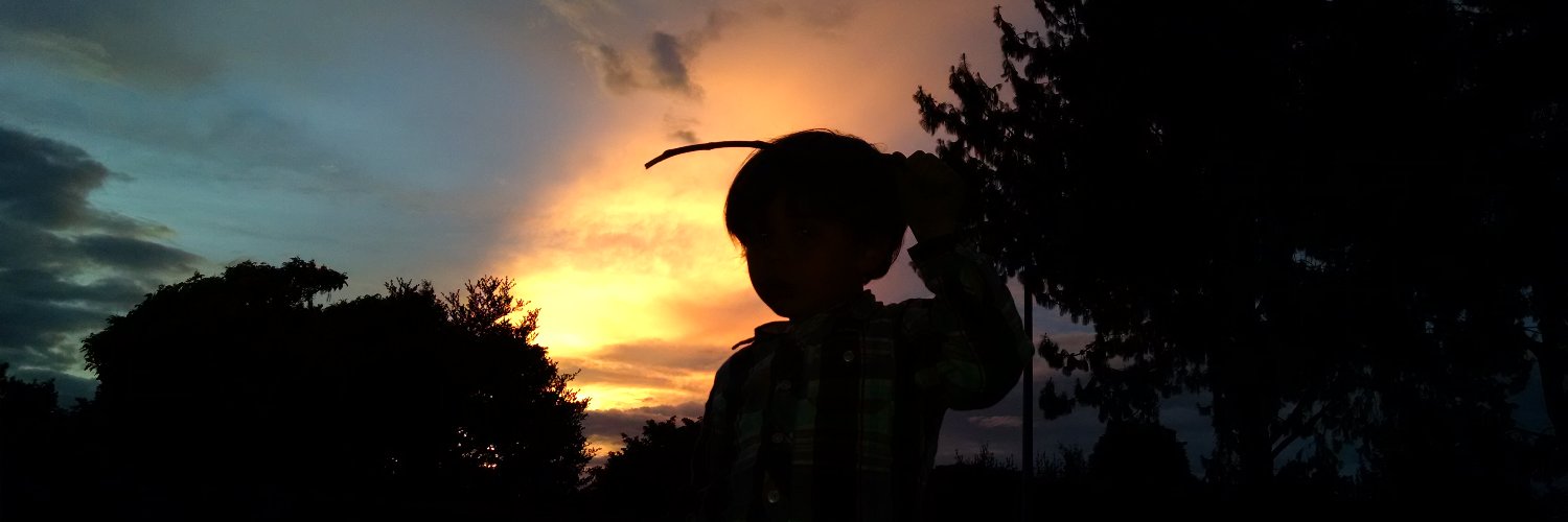 HugoEDiazS's profile banner image